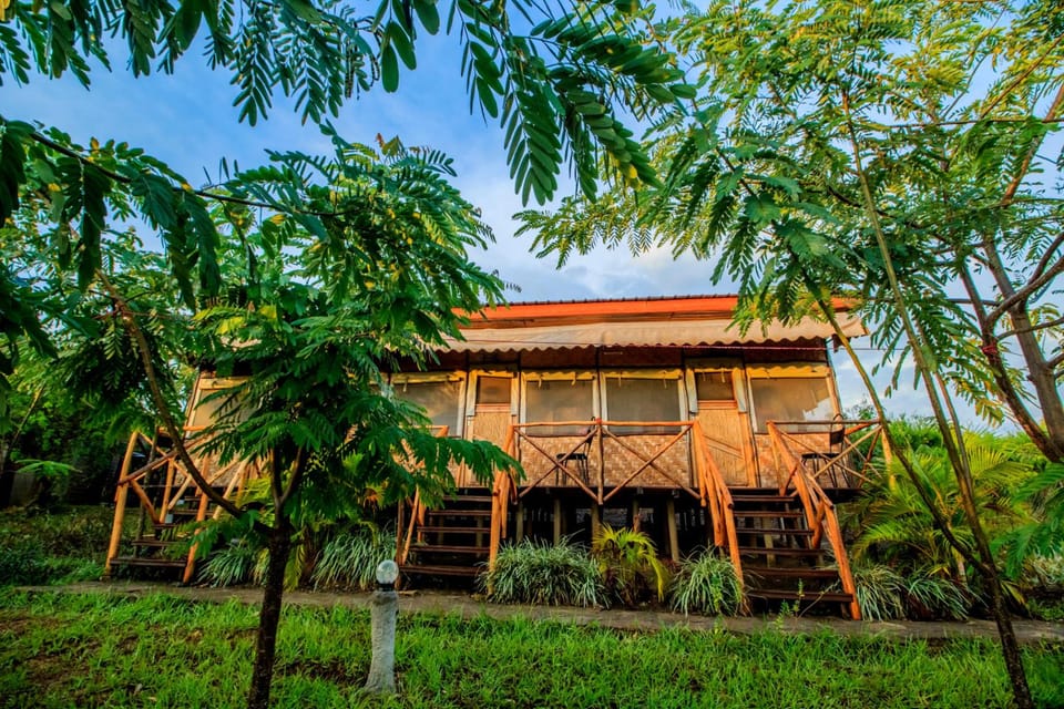 Wild Tracks Overland Camp Hostel in Uganda