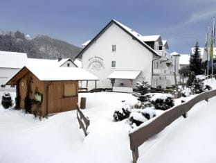 Hotel Haus Wiesengrund Hotel in Hochsauerlandkreis