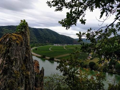 Weingut Pension Hammes-Kruger Hotel in Cochem-Zell
