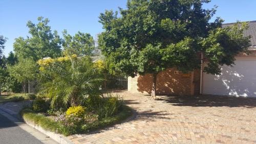 Edelweiss Bed & Breakfast Hotel in Stellenbosch