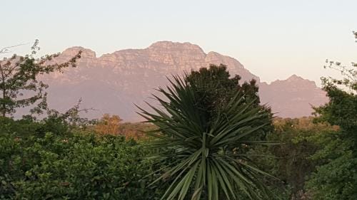 Edelweiss Bed & Breakfast Hotel in Stellenbosch