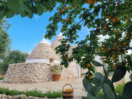 Trulli Di Spinaruta Hotel in Province of Taranto