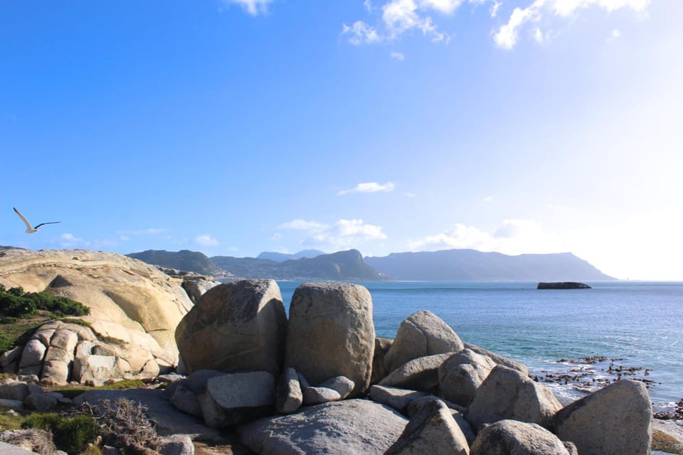 Boulders Beach House Hotel in Cape Town
