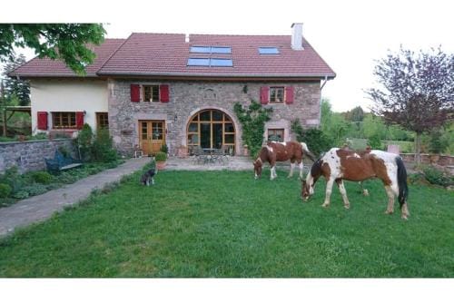 "La Belle Chambre" dans une ferme avec etang prive dans la region des Mille Etangs Faucogney-et-La-M Hotel in Vosges