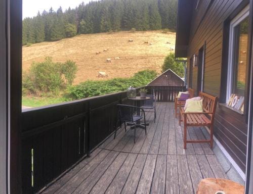 Familienpension Obere Juchhe, Ferienwohnung und Zimmer Hotel in Thuringia, Germany