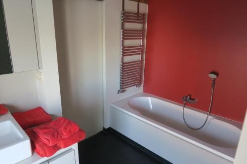 B&B / Studio De Druivelaar in hartje Kluisbergen (Berchem) Hotel in Flanders
