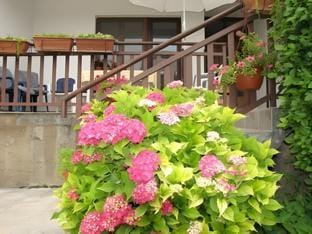 Pansion Ivanka Barac Hotel in Federation of Bosnia and Herzegovina