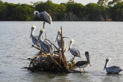 Don Luis Hostal - Sucursal Hidalgo - Tecolutla Hotel in Tecolutla