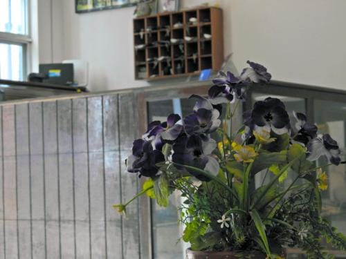 Don Luis Hostal - Sucursal Hidalgo - Tecolutla Hotel in Tecolutla