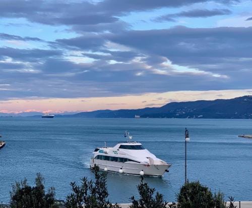 Five Flowers Guest House Hotel in Trieste