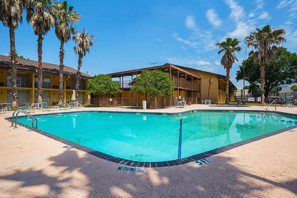 Swimming pool [outdoor]