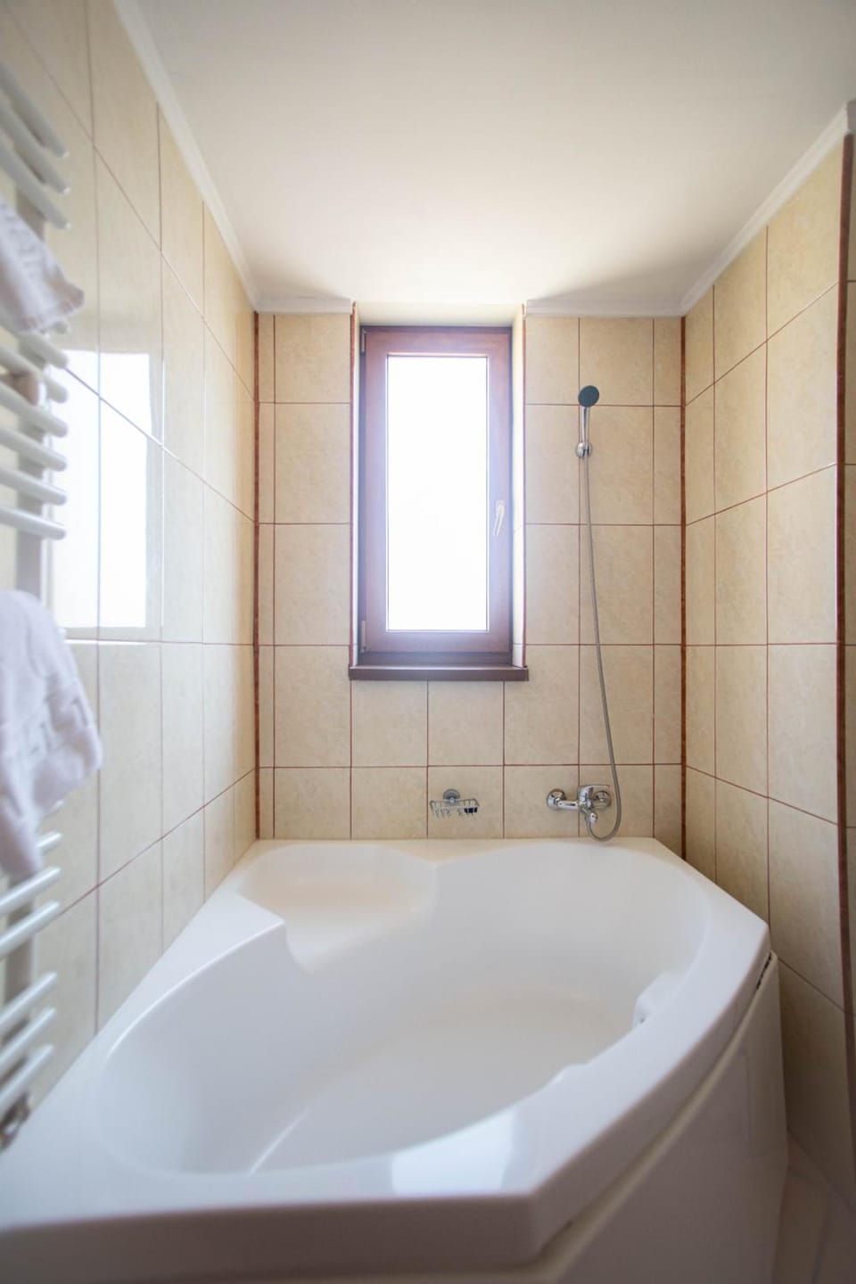 Hotel Alexandra Hotel in Timisoara