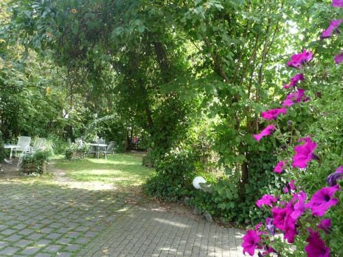 biozertifiziertes Hotel Hopfigheimer Hof mit Wein-Shop Hotel in Baden-Württemberg