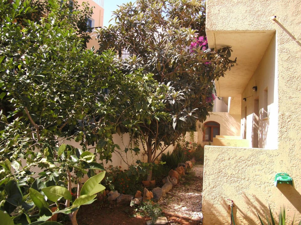 Lia Sofia Apartments Hotel in Stalida