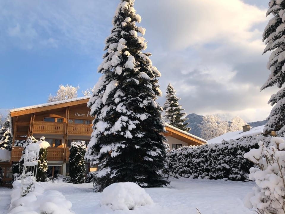 Haus Patricia Hotel in Salzburgerland