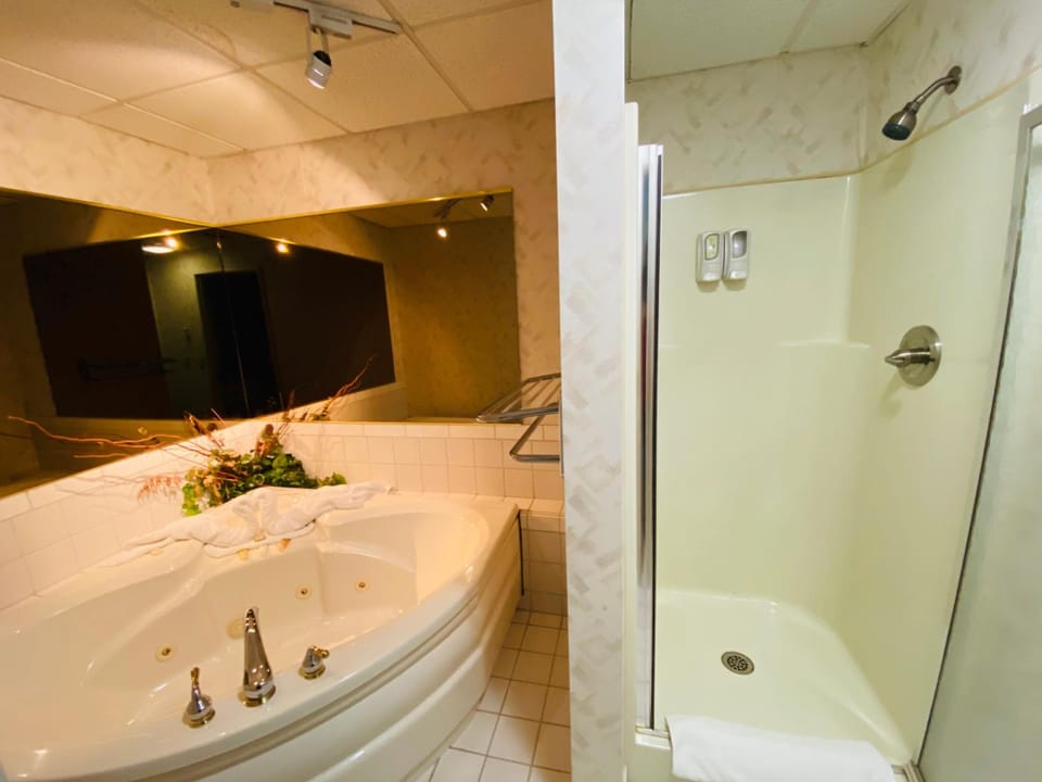 Fleetwood Inn Suites Motel in Michigan