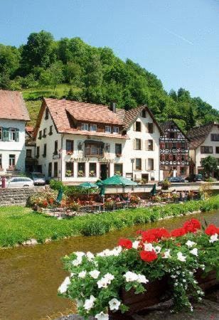 Zur alten Brucke Hotel in Baden-Württemberg