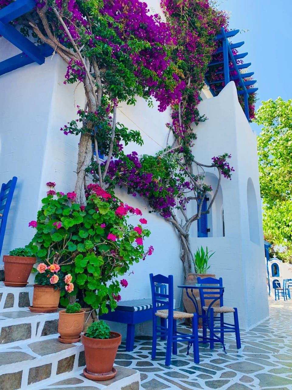Pelagos Studios Apartment hotel in Paros