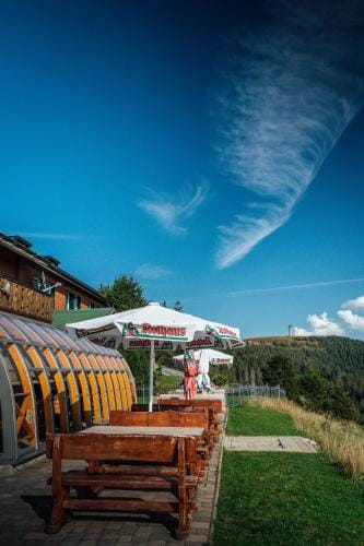 Berggasthof zur Todtnauer Hutte Inn in Baden-Württemberg