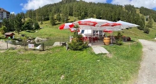 Chez Chantal Hotel in Nendaz