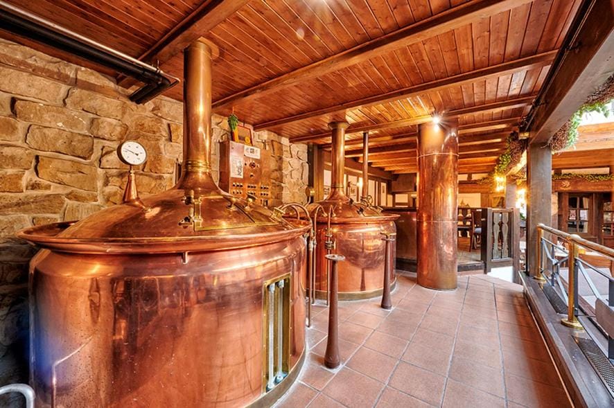Brauhaus Zum Lowen Hotel in Thuringia, Germany