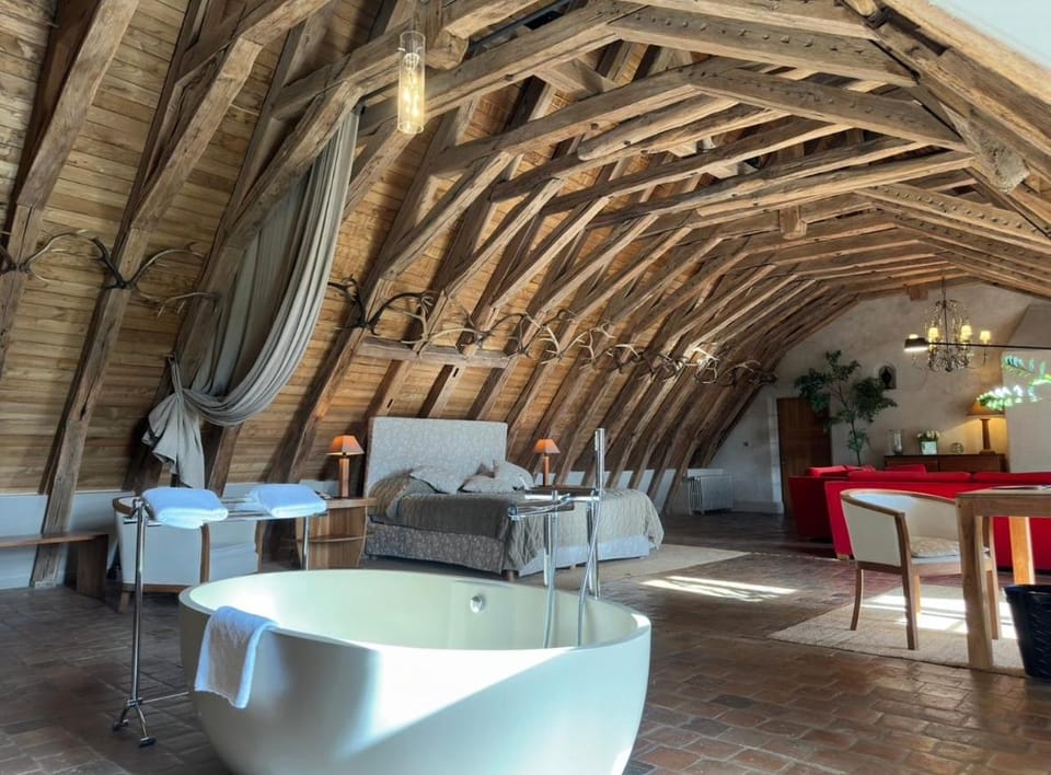 Chateau des Arpentis Hotel in Amboise