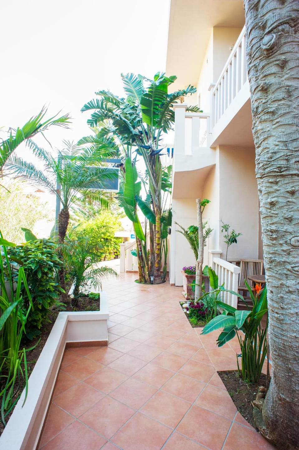 Frideriki Studios & Apartments Hotel in Platanias
