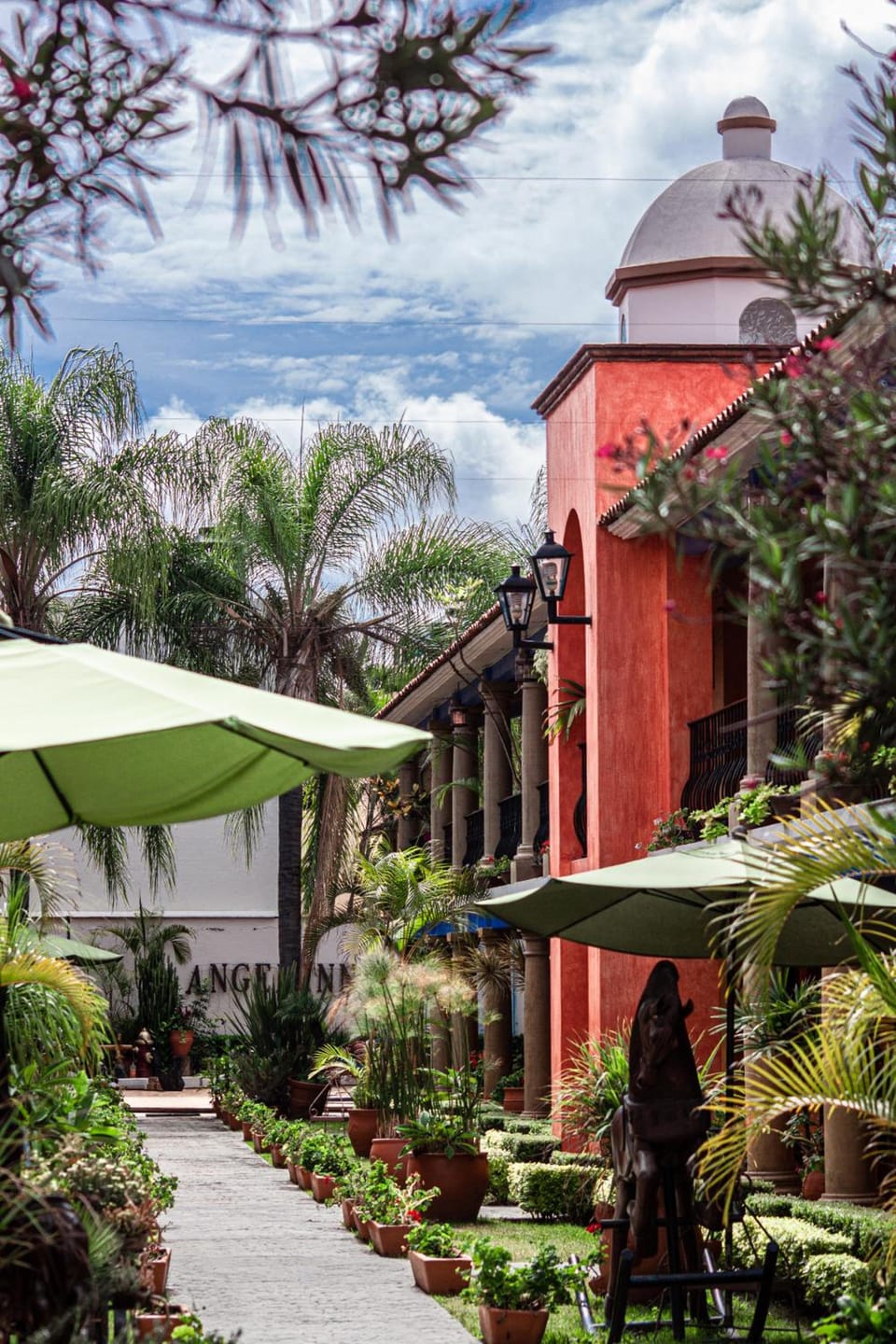 Hotel Angel Inn Hotel in Oaxaca