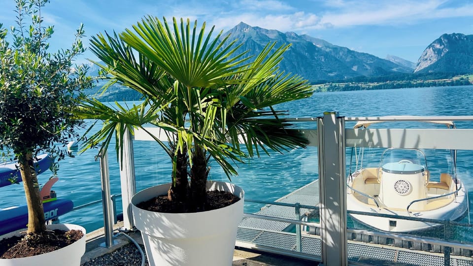 Boutique Hotel Niesenblick - direkt am Thunersee gelegen mit SELF CHECK IN & digitaler Rezeption Hotel in Canton of Bern (Region)