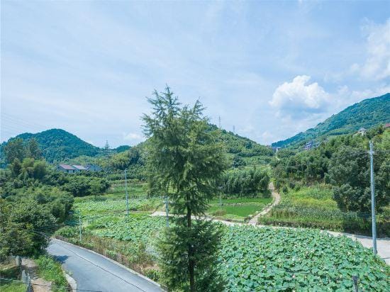 Tonglu She Township Bamboo House Hotel in Hangzhou