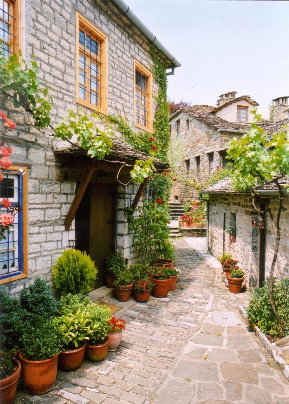 Saxonis Houses & Saxonis Villa Hotel in North Macedonia