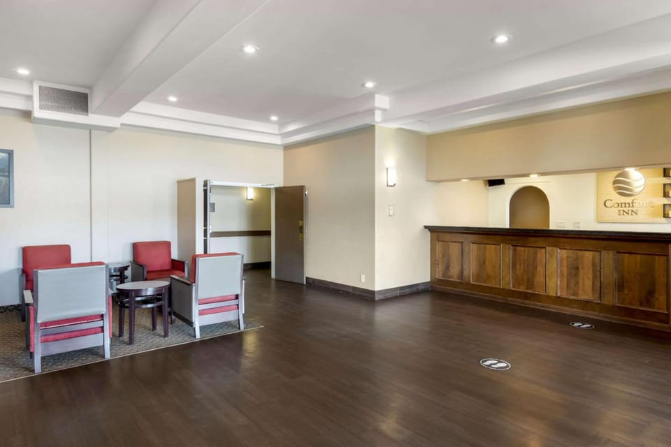 Comfort Inn Lethbridge South Hotel in Lethbridge