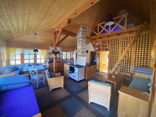 Seosko turisticko domacinstvo Radivojevic Hotel in Serbia