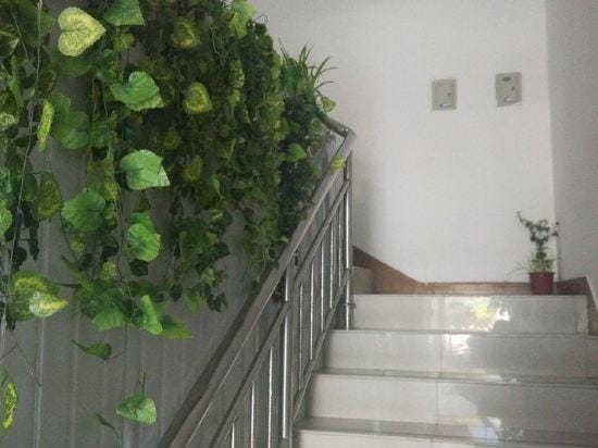 Shanghai  Anyi Hostel Hotel in Shanghai