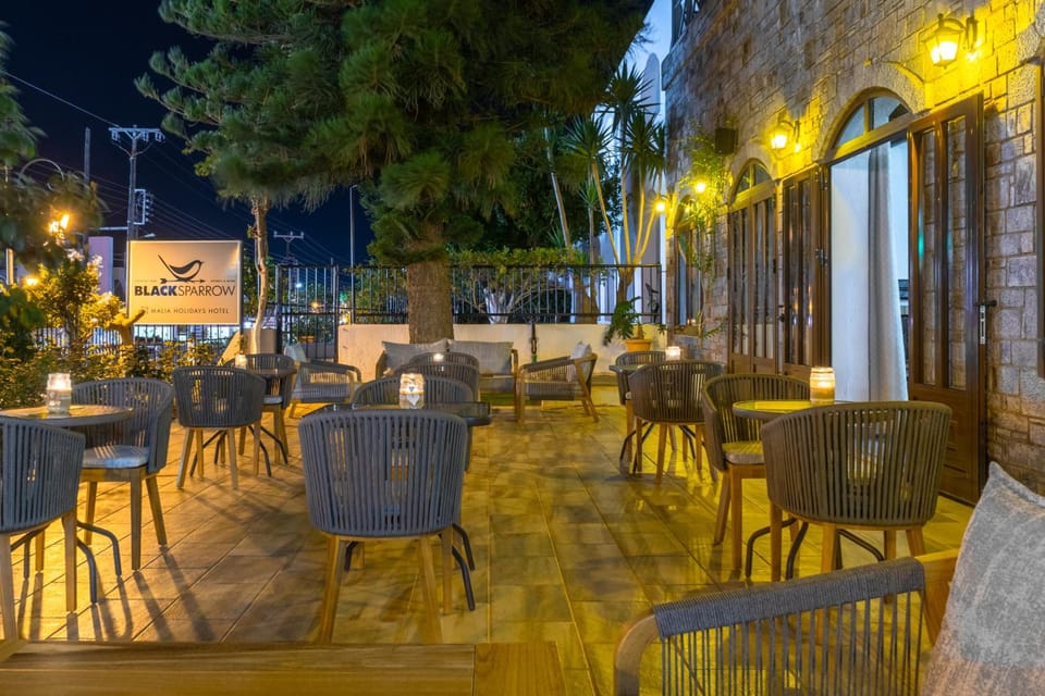 Malia Holidays Hotel Hotel in Malia, Crete