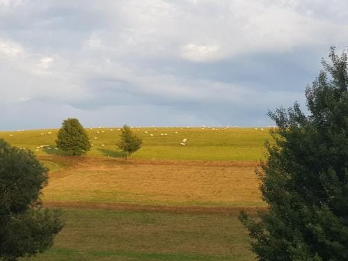Gasthof & Pension Erlengrund Inn in Thuringia, Germany