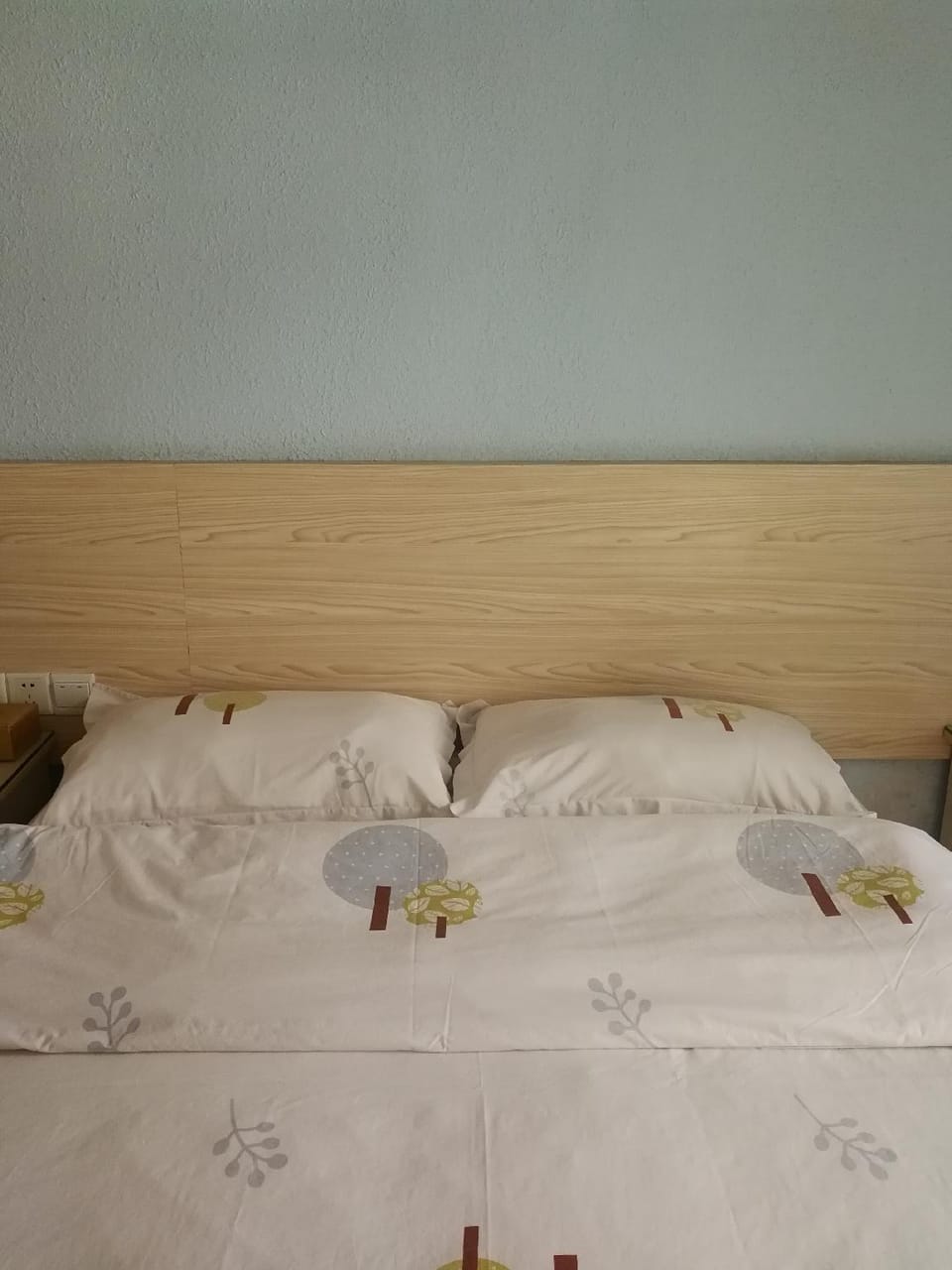 Shen Zhen Chuang Fa Hotel Hotel in Shenzhen