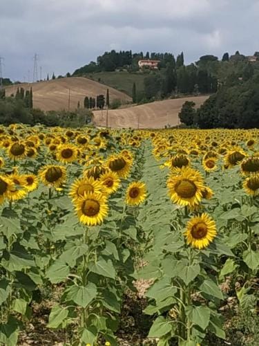 B & B CUORE TOSCANO Hotel in Tuscany