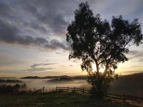 B & B CUORE TOSCANO Hotel in Tuscany