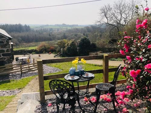 Hendre Cennin Hotel in Wales