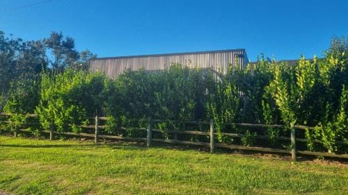 Mangawhai studio or book a room in Guest's House Hotel in Auckland Region