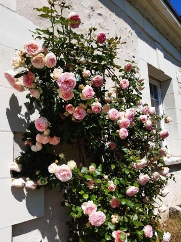 Le clos des augers, chambres d'hotes et roulotte Hotel in Centre-Val de Loire