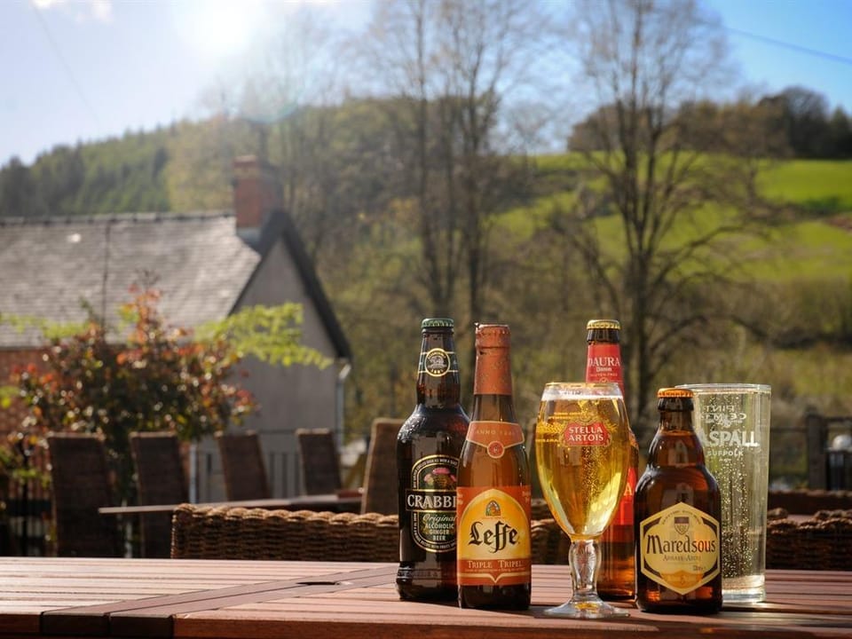 The Mount Inn Inn in Wales