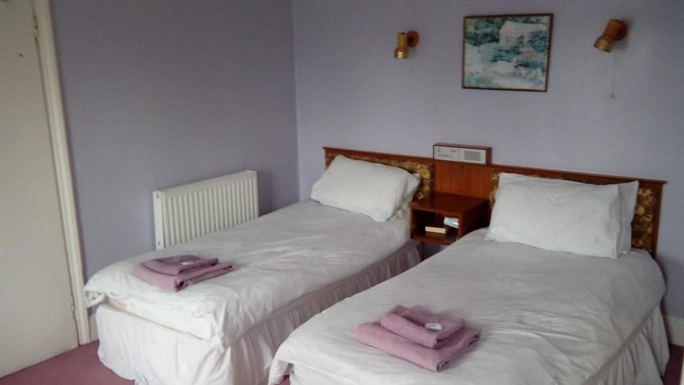 Neuadd Arms Hotel Hotel in Treflys