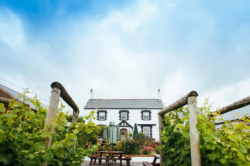 Llanerch Vineyard Hotel Hotel in Wales