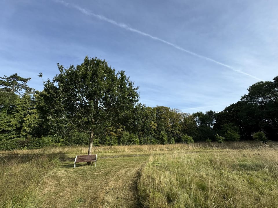 Hookwood Lodge Lodge in Horley