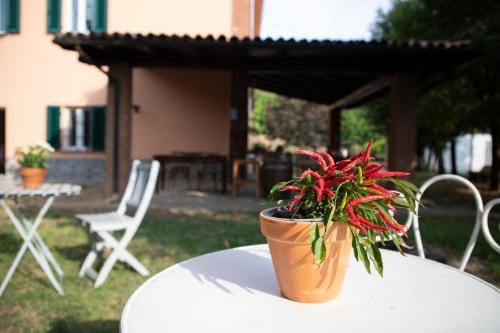 Country Boutique Paradiso Hotel in Lombardy