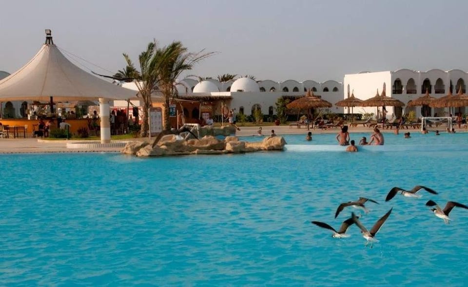 Gorgonia Beach Resort Hotel in Red Sea Governorate