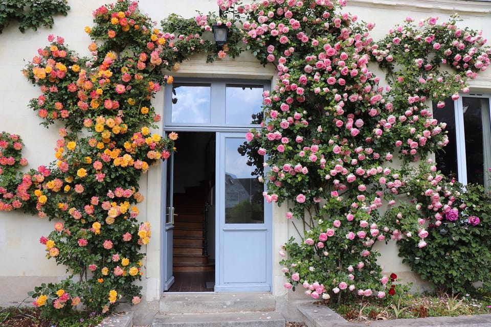 La Dixmeresse Hotel in Centre-Val de Loire