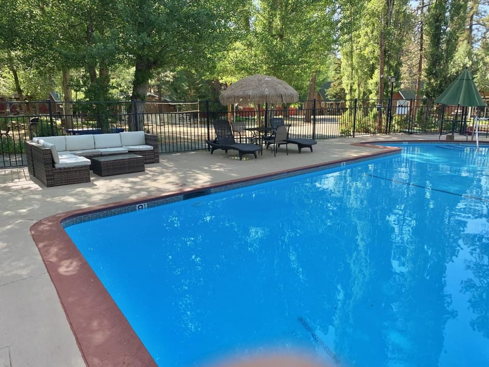 Grey Squirrel Resort Resort in Big Bear